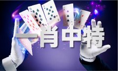 全能四码的绝密手艺_全能四码的绝密手艺V