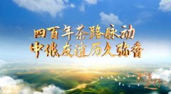 大道之行丨四百年茶脉动 友情历久弥喷鼻